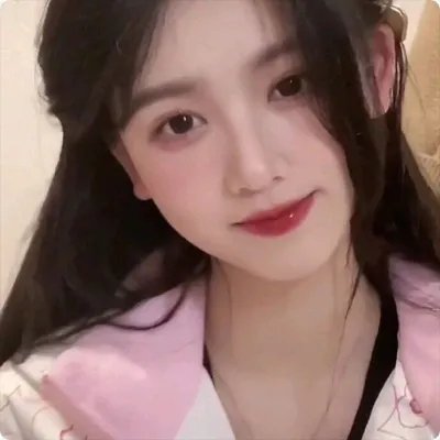 暴风雪中的白鸟